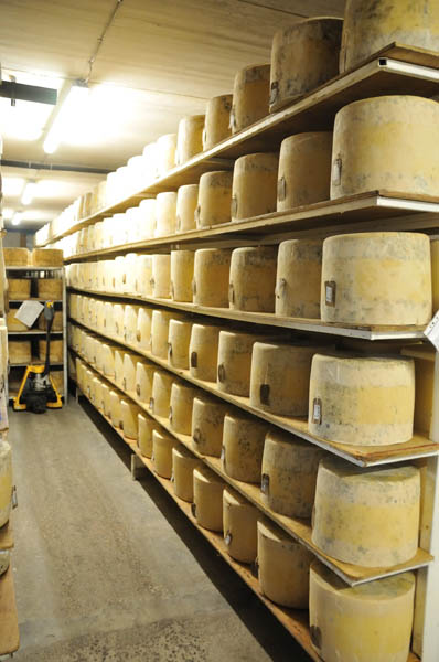 Cheese, Isle of Mull
