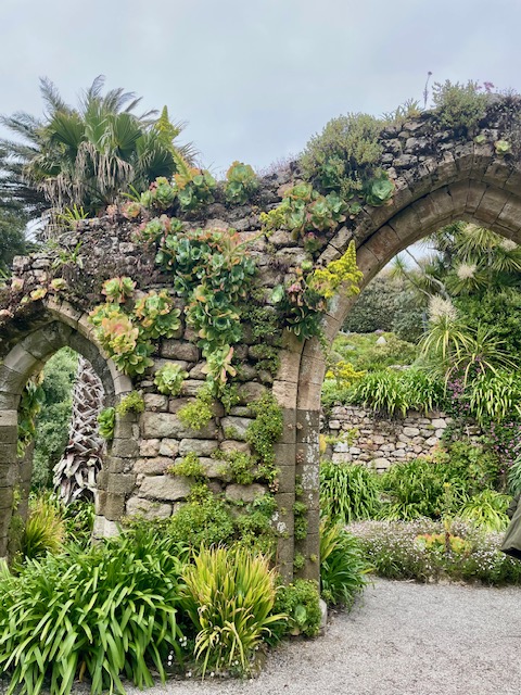 Tresco Abbey Gardens in the Isles of Scilly