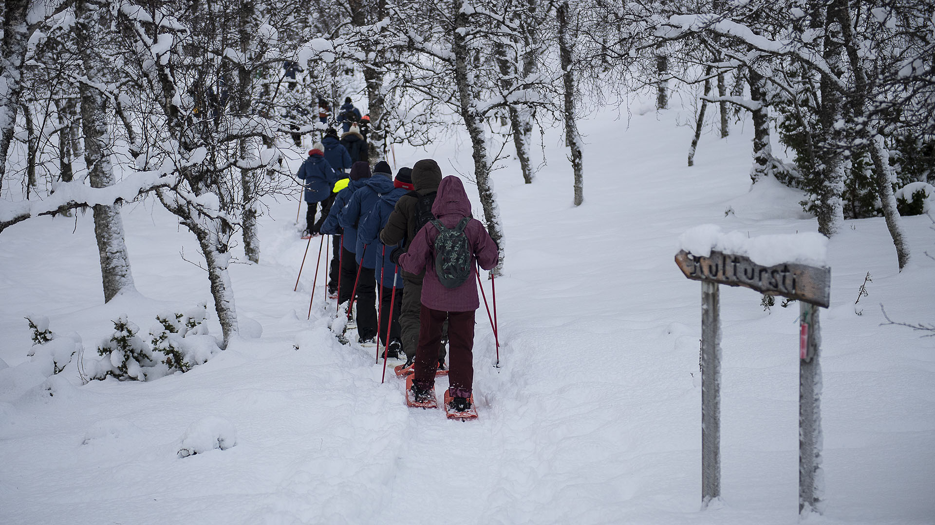 Snowshoeing (credit Geraldine Prince)