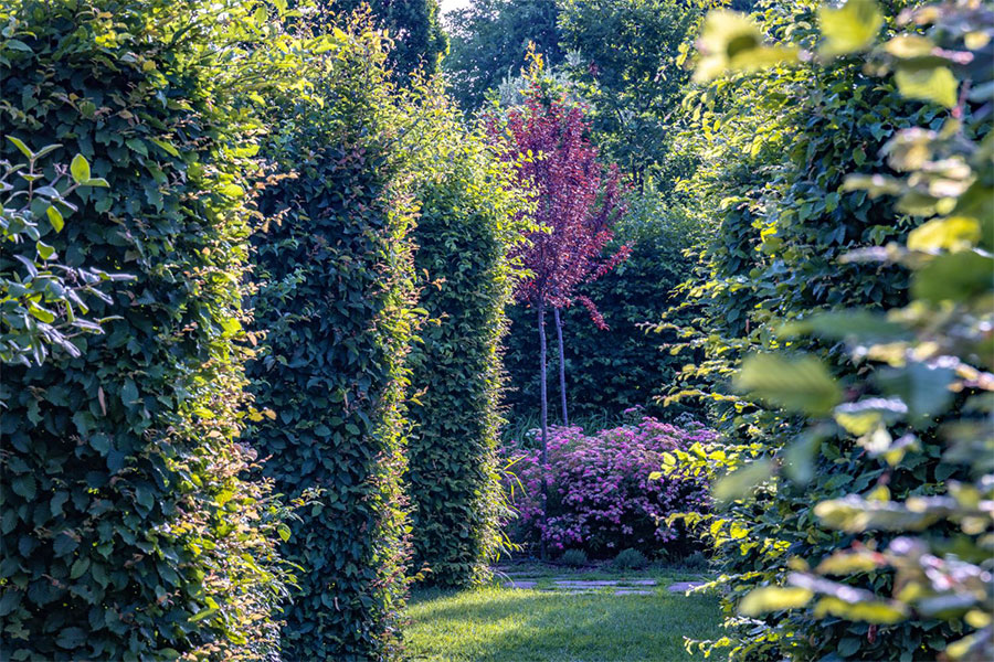 Gardens at Palazzo di Varignana
