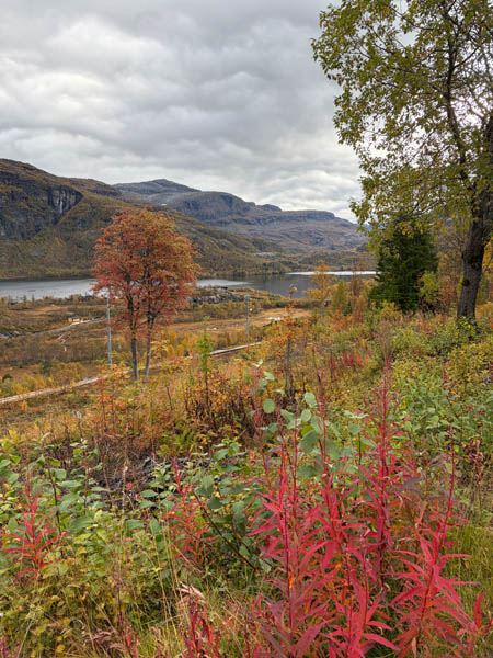 Autumn colours near the Flam Railway