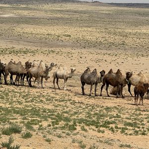 25-7-AS-mongolia-IMG_3076