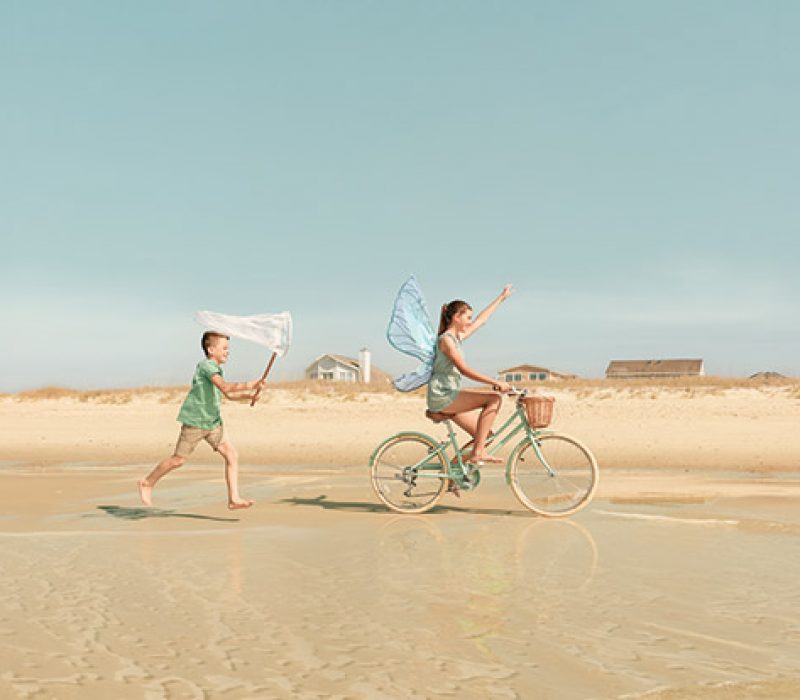 26-07-offer-Beach Family Butterfly