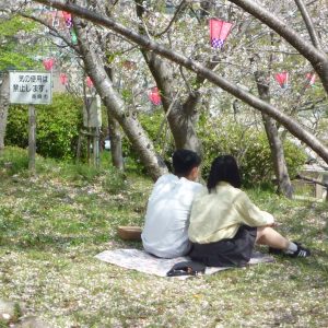 GH-Japan-Nagasaki-blossom
