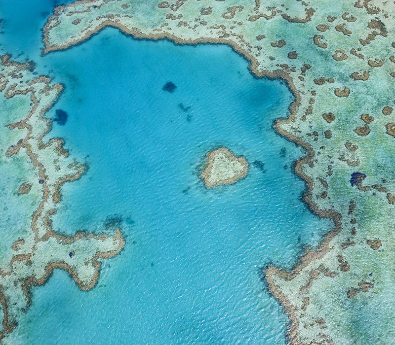 Aerial view of turquoise reef in the Pacific Ocean.