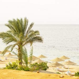 Egyptian hotel resort and spa. Coast shore of Red Sea in Sharm el Sheikh, Sinai, Egypt.