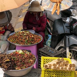 fried insects on sale in Sihanoukville Market CAMBODIA-4-2