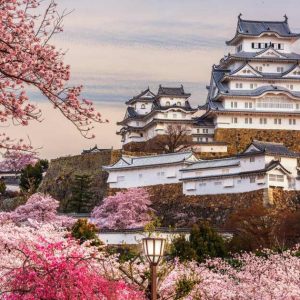 Himeji, Japan at Himeji Castle during Spring Cherry Blossom Season