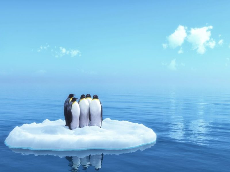 iStock-452628461 - penguins floating on ice copy-min