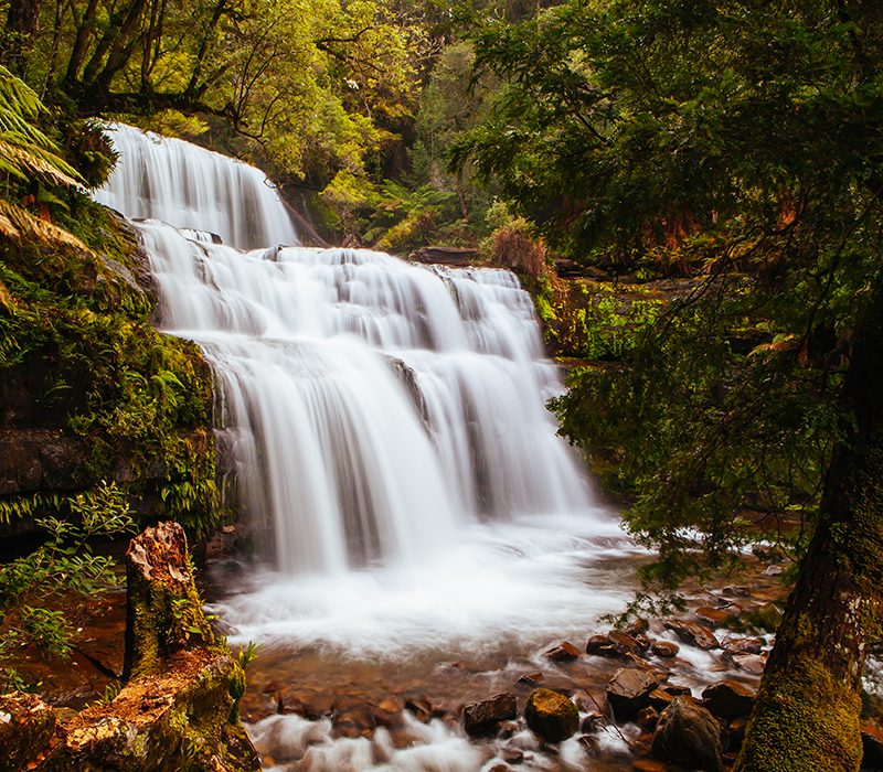 Liffey Falls in Liffey Falls State Reserve on a cold winter's morning in Tasmania, Australia